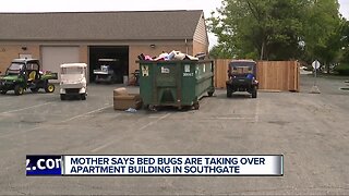 Mother says bed bugs are taking over apartment building in Southgate