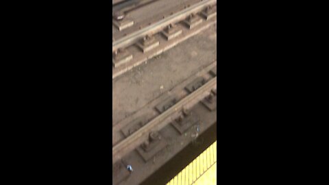Mouse in NY subway