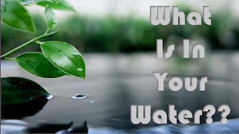 What Is In Your Water??