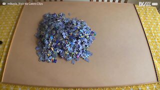 En vidéo accélérée, ce puzzle de 2 000 pièces ne prend que quelques secondes