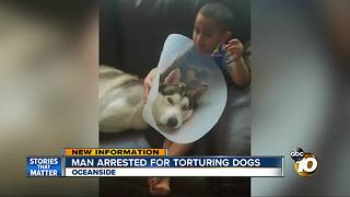 Man arrested for brutally torturing dogs