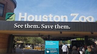 Houston Zoo April 3, 2021