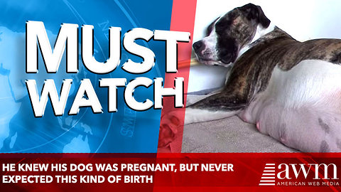 He Knew His Dog Was Pregnant, But Never Expected This Kind Of Birth