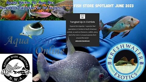 Aquatic Wetline W/ Aqua Alex: June 2023 Fish Store Spotlight
