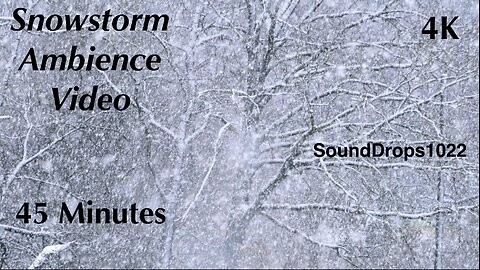 Snowflakes Symphony: 45 Minutes Calm