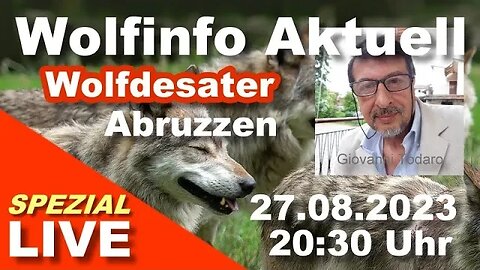 Wolfinfo Aktuell Spezial LIVE ( Wolfdesaster in den Abruzzen ) ( Disastro del lupo in Abruzzo )