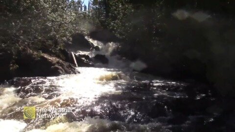 Glistening forest creek cascades into Nipigon River