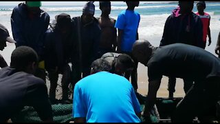 SOUTH AFRICA - Durban - Sardines being netted at Durban beachfront (Videos) (Dex)