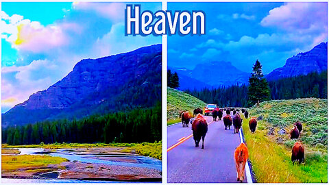 Heaven of our dreams. If you come here, then you have come to heaven.