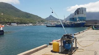 SOUTH AFRICA - Cape Town - Poachers turned commercial divers clean Hout Bay harbour (Video) (fPy)