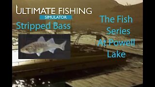 Ultimate Fishing Simulator: The Fish - Powell Lake - Stripped Bass - [00007]