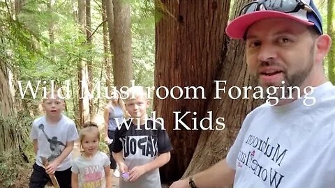 Wild Mushroom Foraging with the Kids- Lobsters, Reishi, More..