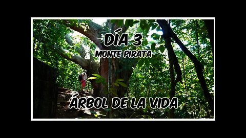 Monte Pirata la ruta del árbol de la vida [Día 3] Parte 1