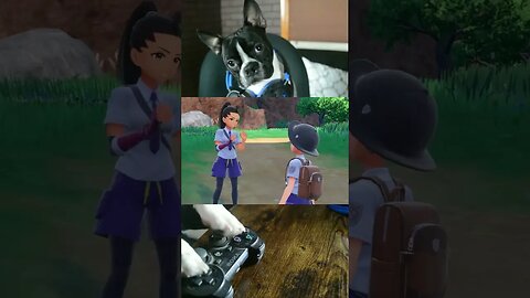 Pokémon Scarlet & Violet - Cannoli the Dog Playthrough Tips and Tricks #shorts #pokemon #fyp #fypシ