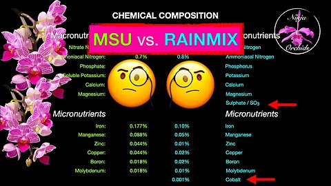 How does MSU Orchid Fertilizer compare with RainMix Orchid Fertilizer | MSU v RainMix #ninjaorchids