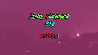 Friday Flashback #13