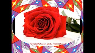 Today I saw a beautiful rose, and I remembered your smile! [Quotes and Poems]