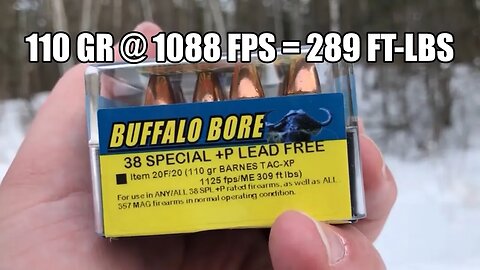 Buffalo Bore 38 Special +P 110 gr Barnes Tac-XP Complete Ruger LCR Ballistic Shooting Test Summary