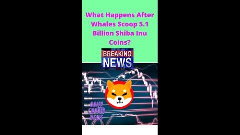 What Happens After Whales Scoop 5 1 Billion Shiba Inu Coins