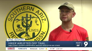 Hiker flown out after getting stung by bees