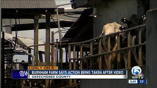 Burnham Farm says action being taken after video