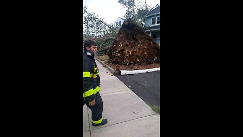 Hurricane storm East Haven ct