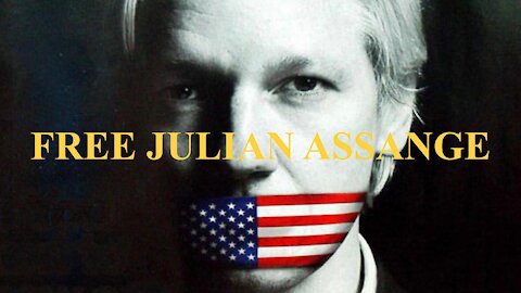 Free Julian Assange - Confession from Sarah Palin