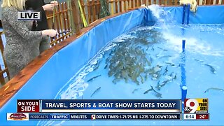 The Travel, Sports and Boat Show is Back in Town