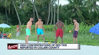 Neighbors react to elevated red tide levels in Collier County