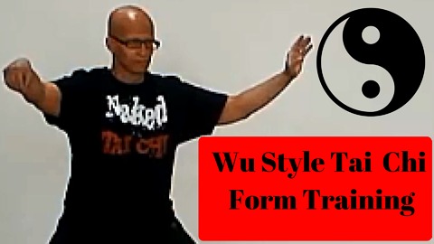 Wu Style Tai Chi Form Vlog 1