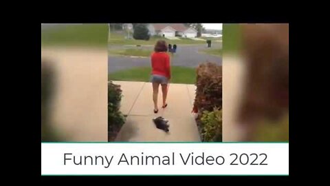 Funny Videos of Dogs & Cats 😻🐶 (WATCH THIS FOR YOU WANT TO LAUGH)