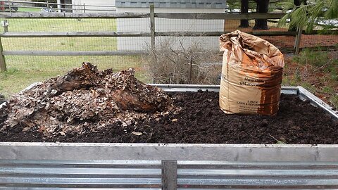 Mulching and covering my raised garden beds