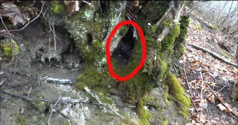 ГОБЛИН ПОПАЛО НА КАМЕРУ В ЛЕСУ странное существо снятое 2019 г. неизвестное существо. гном в лесу