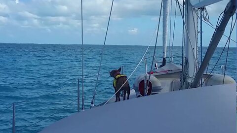 Offshore Sailing to the BAHAMAS Part 2 - Land Ho! [Ep. 14]