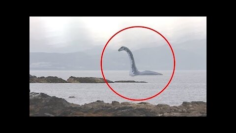 5 Water Serpents Caught on Camera