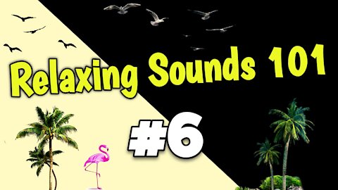 🏖RELAXING SOUNDS 101 #6