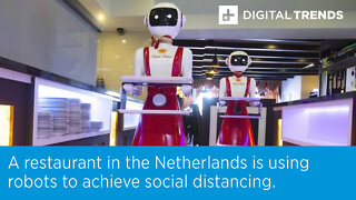 A restaurant in the Netherlands is using robots to achieve social distancing.
