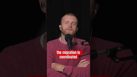 Is the mass migration coordinated?