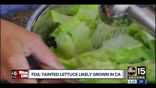 Recent E. coli outbreak in romaine lettuce linked to California