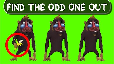 Find the ODD ONE out game | Brain Puzzle | Eye Test | Quiz
