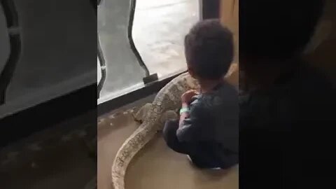 Video of Wizkid’s son playing with large lizard.