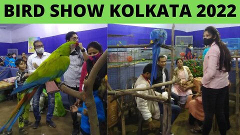 Kolkata Bird Show 2022 bird show in kolkata 2022 exotic bird show 2022 bird show kolkata