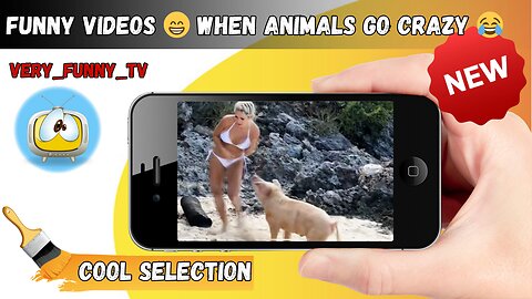 Funny videos 😁 When animals go crazy 😂 Cool selection