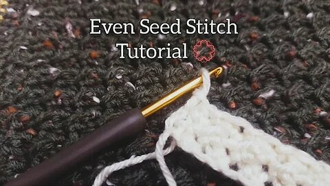 Beginner Friendly Even Seed Crochet Stitch Tutorial🤜🤛👍