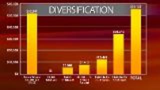 Investing - Diversity to Reduce Risks