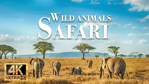 чудо диких животных Африки 4k - замечательный фильм о дикой природе с успокаивающей музыкой