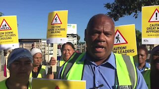 South Africa - Cape Town - Walking bus Dan Plato (Video) (VCM)
