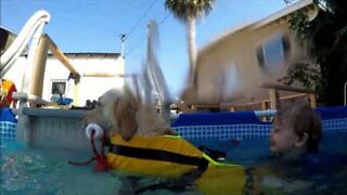 Cane aiuta un bambino a sconfiggere la paura dell'acqua