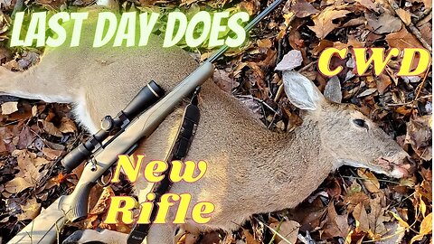 CWD, New Rifle, Late Season Does