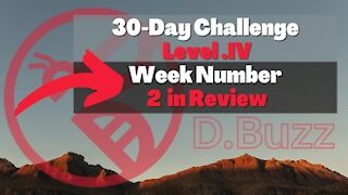 30-Day Challange : Level . IV : Week 2 In Review